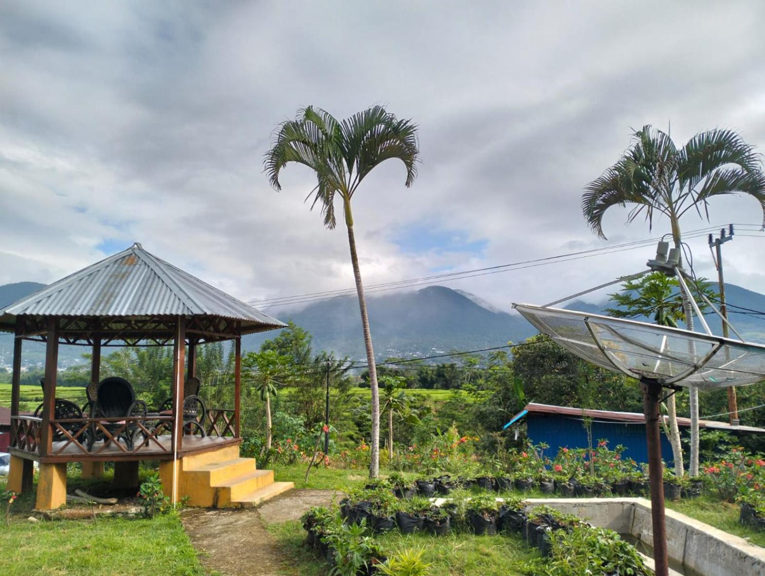 Apartamento Hobbit Hill Ruteng Exterior foto